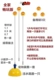 Câu đố trẻ em phục vụ máy tập bóng bàn phụ trợ thiết bị đàn hồi mềm - Bóng bàn