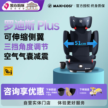 Michaelis large child safety seat