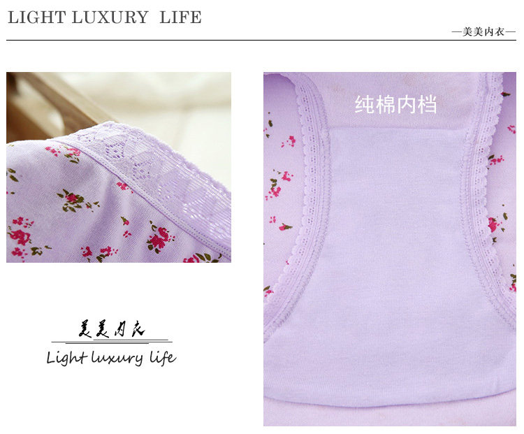 Slip Moyen-âge simple en coton - Ref 646664 Image 13