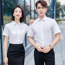 High-end DP ready-to-wear non-ironing plain professional white shirt temperament self-cultivation civil servant short-sleeved summer shirt pure cotton