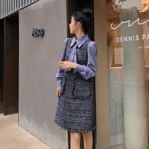 Blue Plus Size Women Fat Sister mm Tweed Long Sleeve Dress 2021 Winter New Fake Two Skirt Skirt