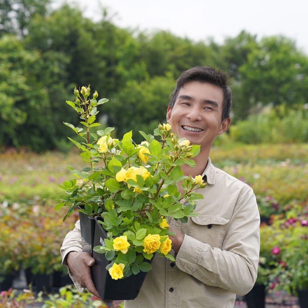 二师兄的彩花涧