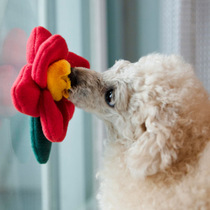 ins Korean pet dog and cat sniff toy hidden food camellia toy slow food looking for snacks suction cup toy to relieve boredom