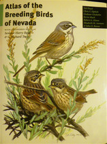English version Atlas of the Breedding Birds of Nevada Atlas birds