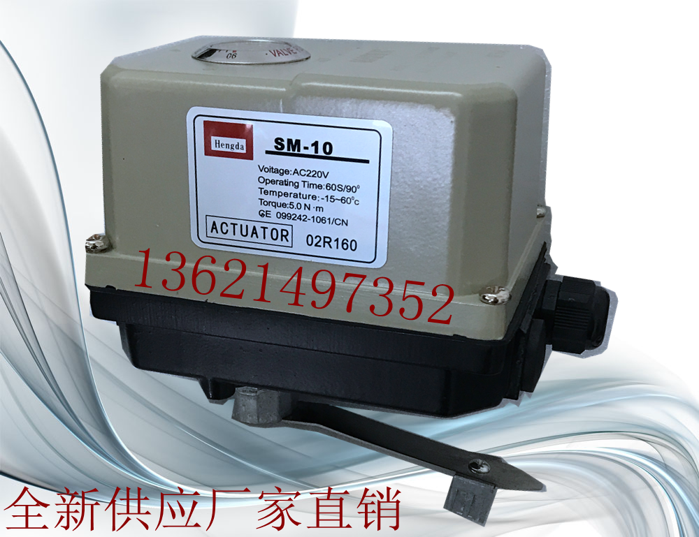 SM-10R electric actuator SM-10 plus DN40 butterfly valve