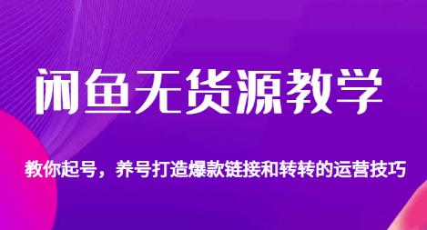 图片[1]-闲鱼无货源教程-起号，养号+爆款运营技巧-暗冰资源网