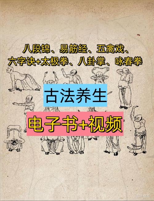 健身养生资源合集[电子书+视频]【八段锦、易筋经、五禽戏、六字诀+太极拳、八卦掌、咏春拳、形意拳等传统武术】电商热销956-欢迎访问本站