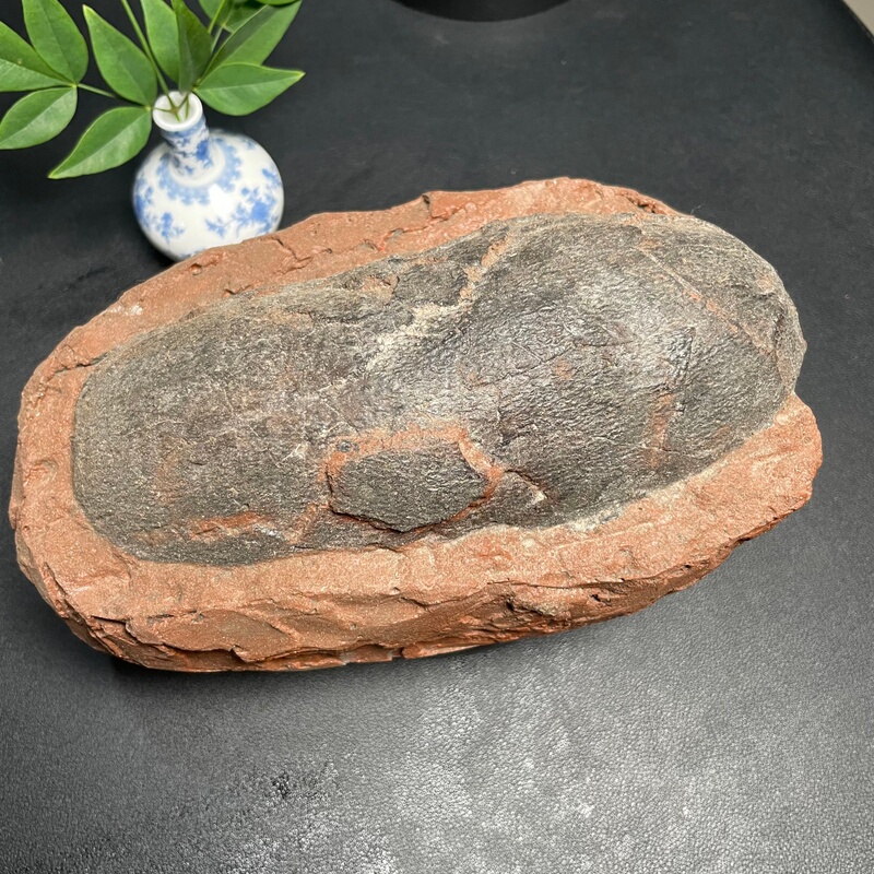Simulated Dinosaur Egg Fossil Crafts, Paleontology Ornaments, Educational Science Specimens, Home Decoration, Jurassic Museum Display