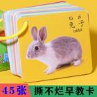 儿童撕不烂益智学习卡片宝宝启蒙玩具早卡看图识字卡动物认知C