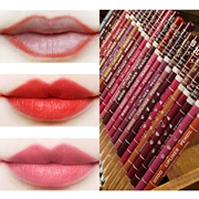 Bán buôn chính hãng Snow White Lip liner 12 màu Dark Coffee Brown Black Rose Red Pencil Pencil Bút kẻ mắt Lip Pencil - Bút chì môi / môi lót