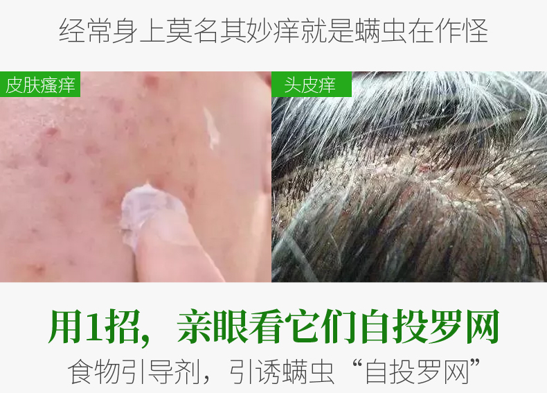 Nhật Bản nhập khẩu ngoài nệm túi ngoài mite artifact chống mạt vá tủ quần áo để phun đờm - Thuốc diệt côn trùng bình xịt côn trùng mosfly