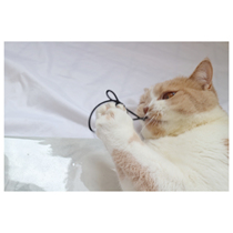 Wheres my head rope? Hand-woven double-layer elastic Hairband three pack