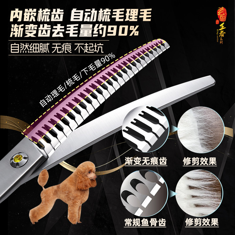 揭秘！抖音直播伴侣的隐藏玩法，让你瞬间成为直播间王者！