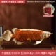 (SF бесплатная доставка) JTBJ Special Golden Fish (в том числе длиной 68 см)