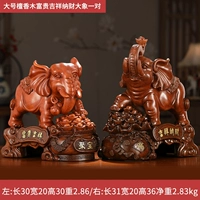 JC Big Sandalwood Color Rich Aspiply Nausa