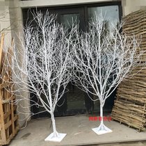 Natural white trees wishing twigs branches withered branches Trunks Trunks Creativity Decoration Tree Shop Windows Decoration Wedding Scene Arrangement