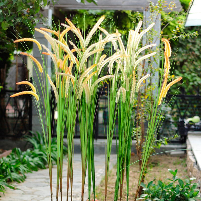 ����õ��«έ��β�Ͳ�