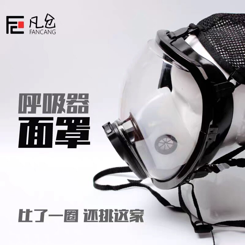 Gas mask Respirator full face mask Air respirator with spherical full face mask Electric air supply mask