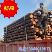 Pine wood pile revetment piling wood fir outdoor river bank revetment logs greening support pole flood control wood pile logs