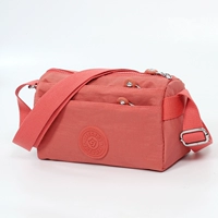 Сладкий апельсин 1653