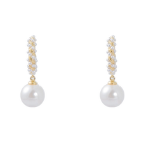 Sancai 2024 new style French light luxury earrings earrings earrings earrings silver needle ear care design gift for women