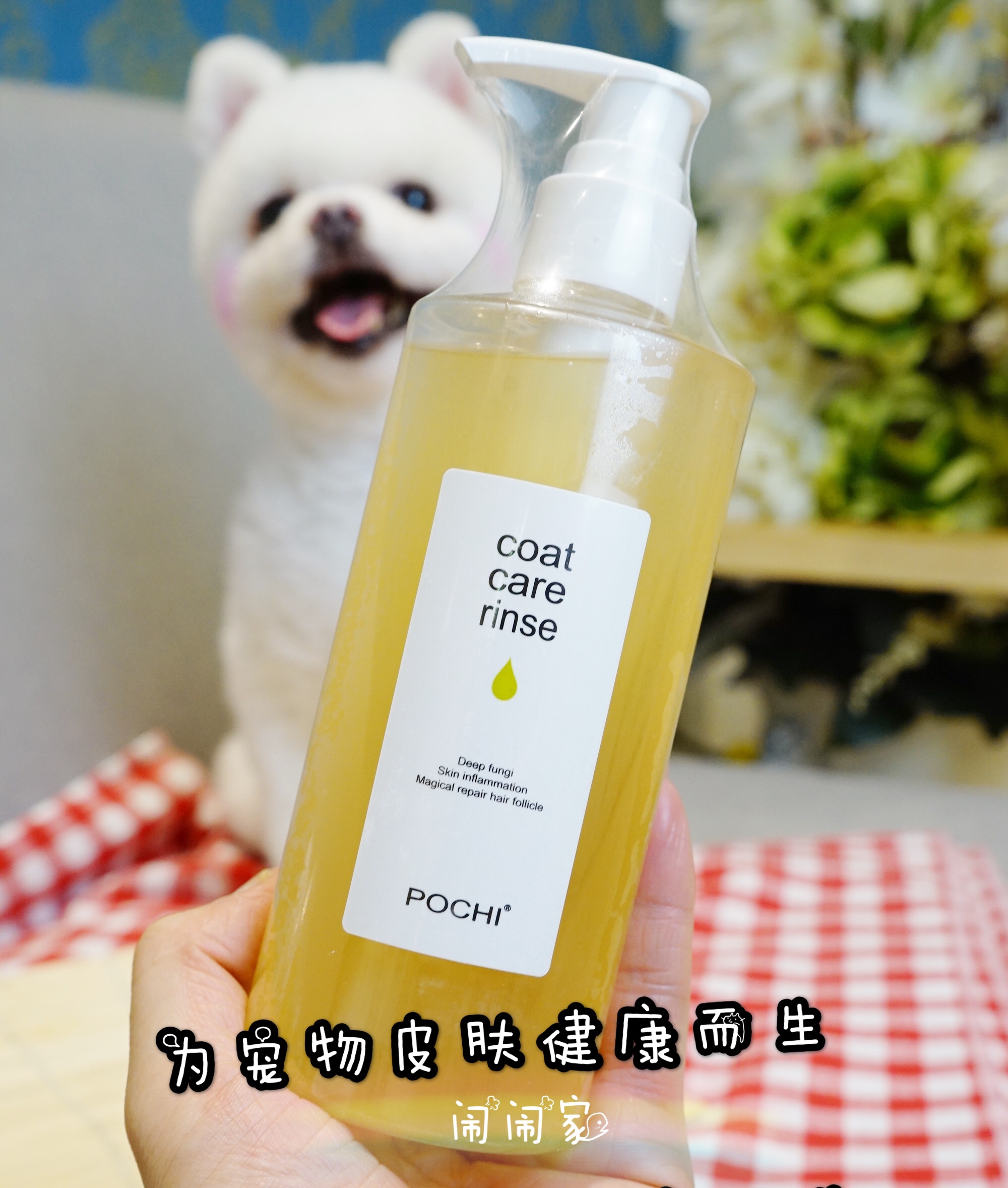 Specializing in skin problems, fungi, dog medicated baths, sterilization, skin disease mites, cat ringworm shampoo