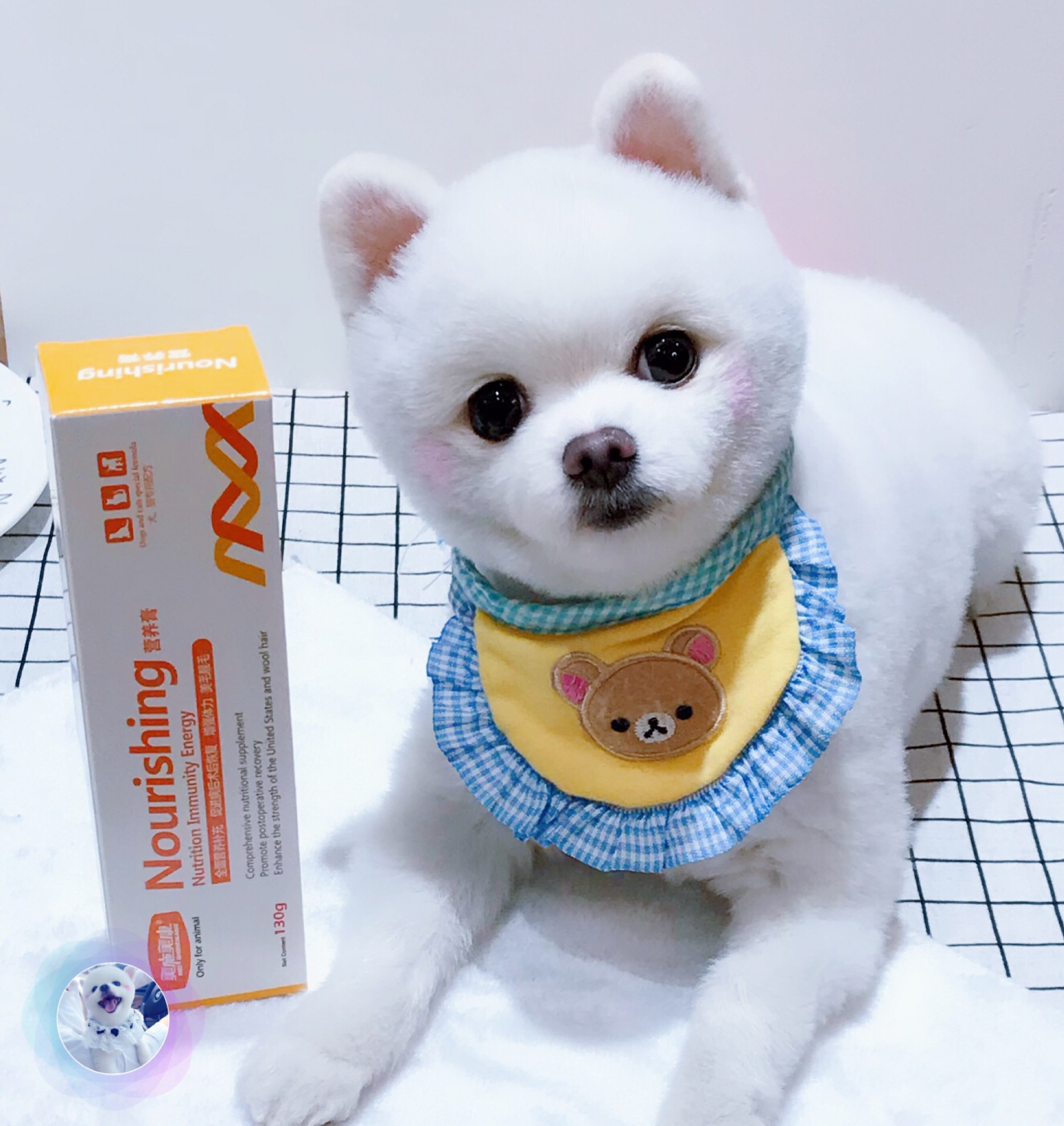 Mei Shi Mei Kang Kem dinh dưỡng Dog Bổ sung dinh dưỡng Tăng cường vẻ đẹp vật lý Làm sáng tóc - Cat / Dog Health bổ sung sữa cho mèo bệnh