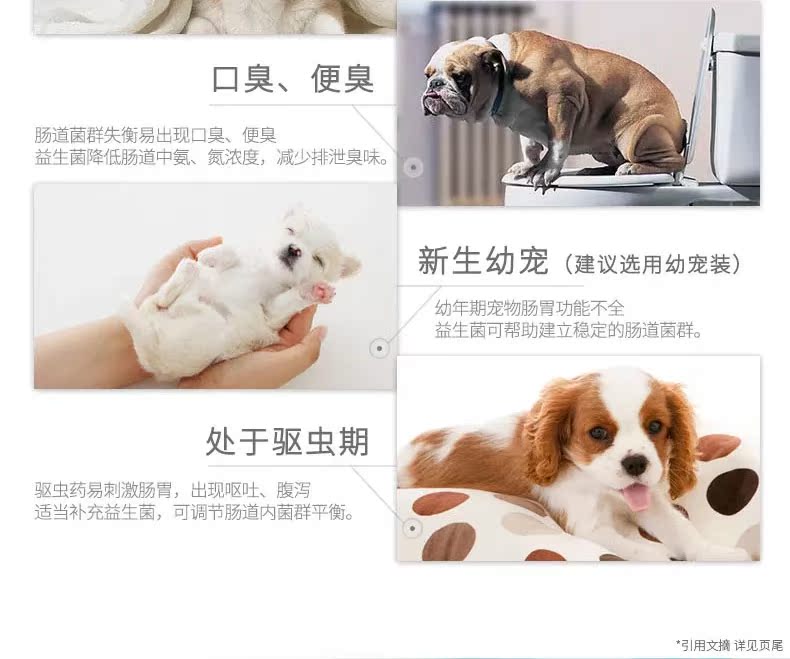 Con vượn yêu quý Khang Khang nguồn sinh học 24 túi Teddy điều hòa thú cưng nôn mửa tiêu chảy mèo tiêu chảy - Cat / Dog Health bổ sung sữa bột cho mèo sơ sinh	