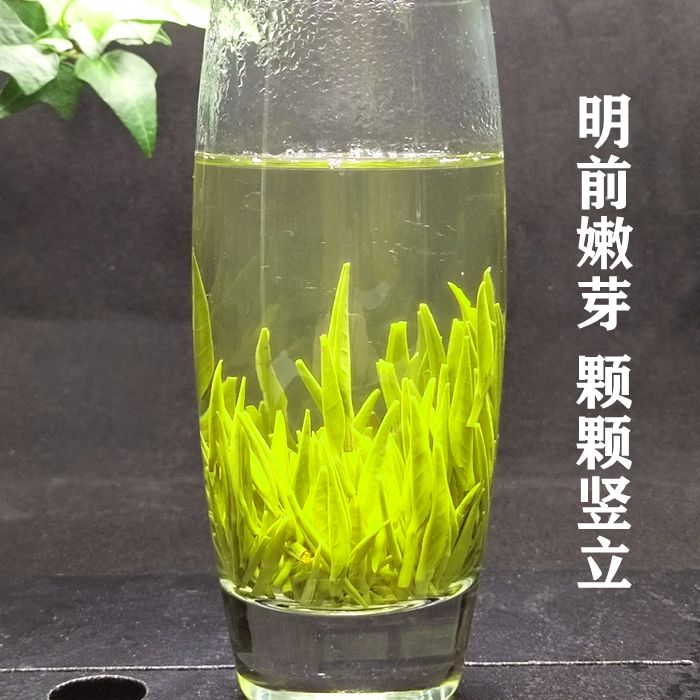 2025年新茶 湖南省毛尖茶 君山銀針明前1級雀茶 バルク 250g