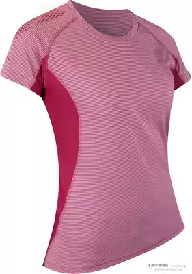 French brand RAIDLIGHT Technical SS Top women's round neck short sleeve sports T-shirt