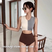  SWIMMING WARM retro color matching sexy small chest high waist belly cover thin conservative one-piece triangle swimsuit female