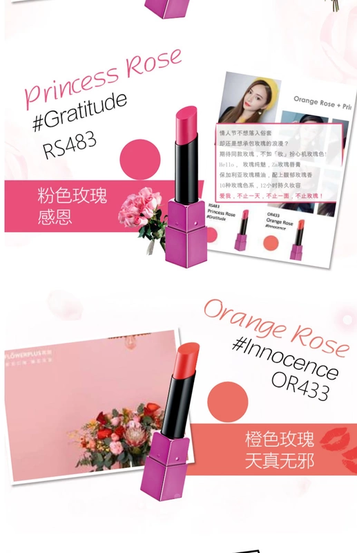 Son môi Shiseido Za / Ji Yun Roseholic Heng Cai Jiao Yan - Son môi hồng nguyên chất quyến rũ - Son môi
