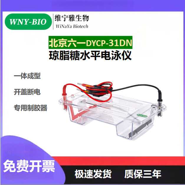 六一DYCP-31DN水平电泳槽琼脂糖水平电泳仪酸凝胶托盘制胶盒通用