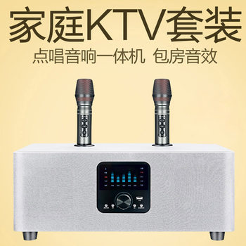 Family Ktv All-In-One Singing Equipment Set with Wireless Microphone and Speaker for Home Use, Karaoke Machine