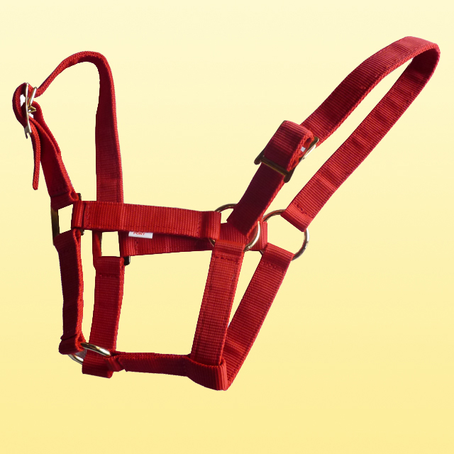 Article équitation - Ref 1383294 Image 3