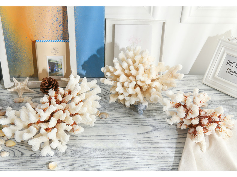 Coral Conch Blending_10.jpg