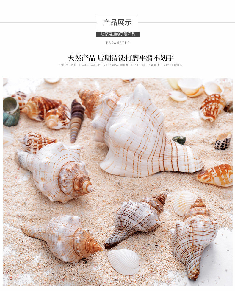 RED ROTOR SNAIL_06.JPG