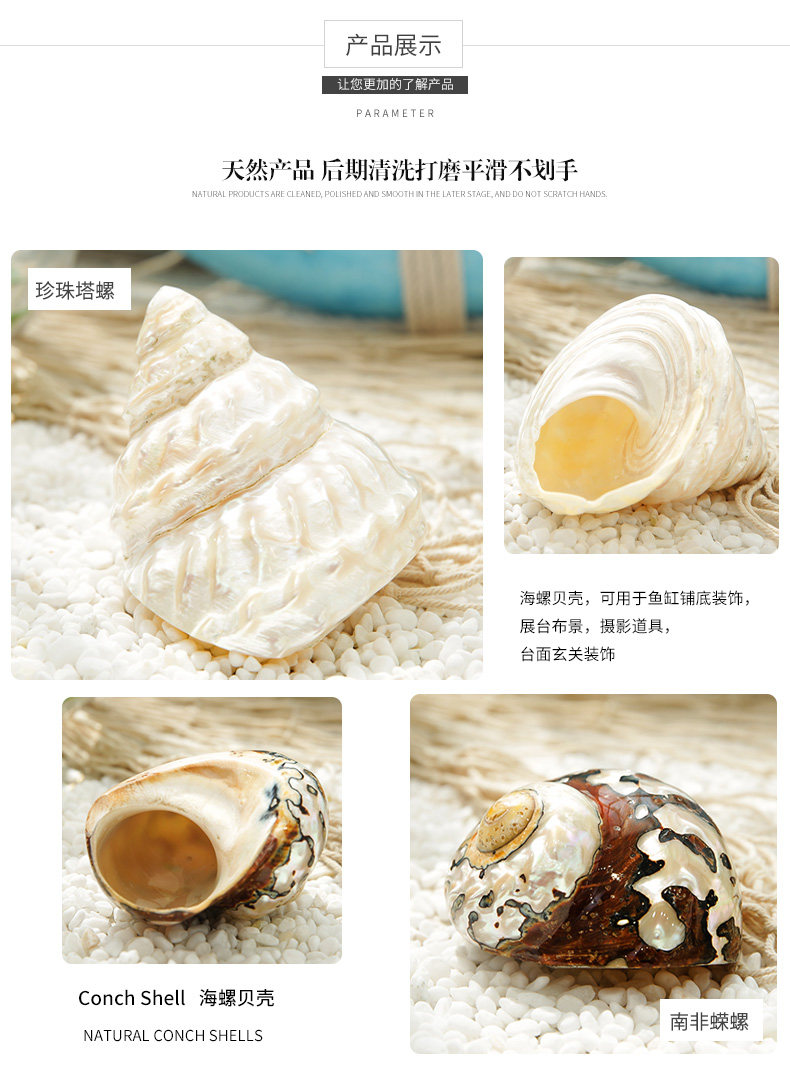 Pearl Snail_07.jpg