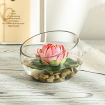 Simple lotus water lily simulation flower set oblique glass vase hydroponic vase hydroponic Vase bottle