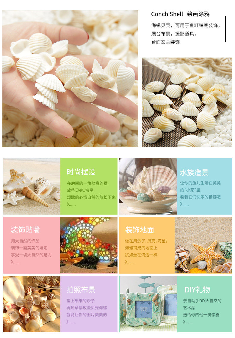Small Shell_02.jpg