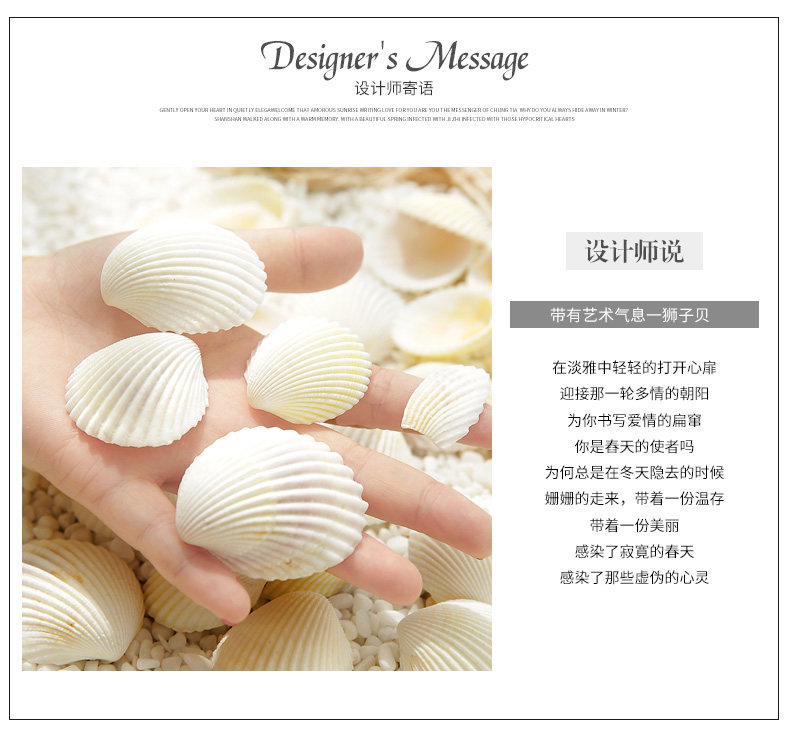 Small Shell_03.jpg