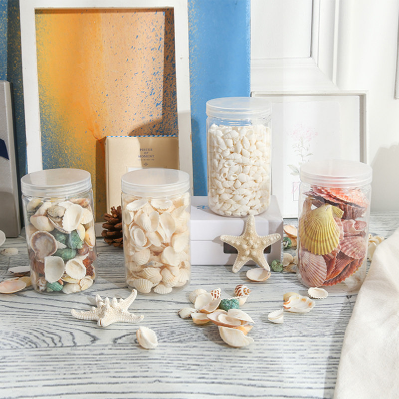 Natural starfish shell conch combination Romantic Mediterranean style home decoration Wedding decoration shooting props