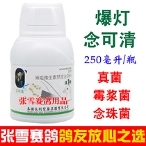 Burst Light Dove Medicine Candida Dove Letter Dove Letter Dove Letter Dove Oral Candida Myalomycee Candidiomycee Candida Pigeon Dove Medicine