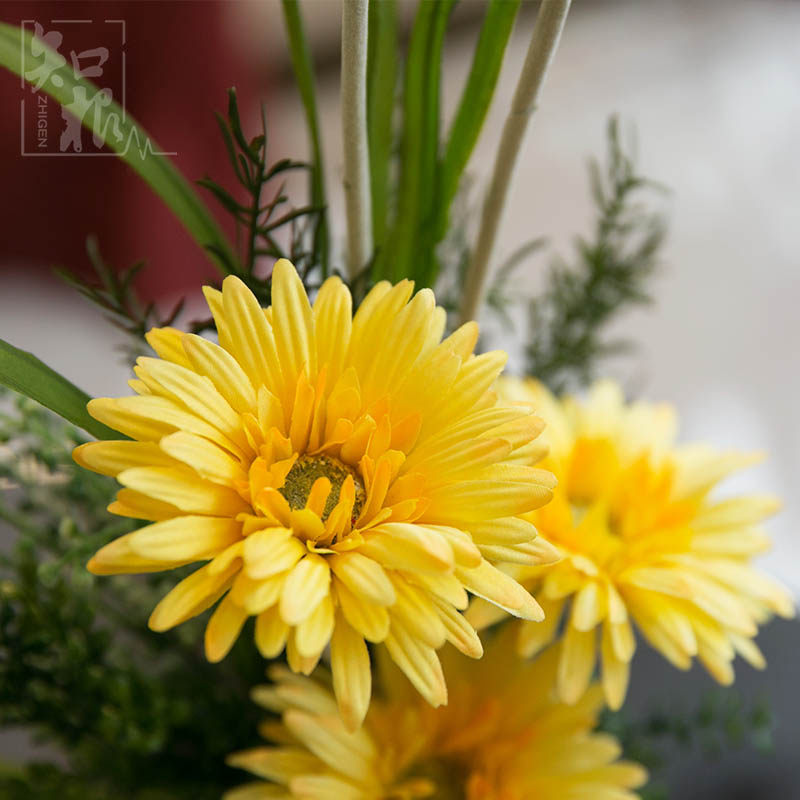 ֪����Ʒ�ʷ��滨TZ-248