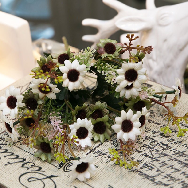 ֪�����滨DBJ-005