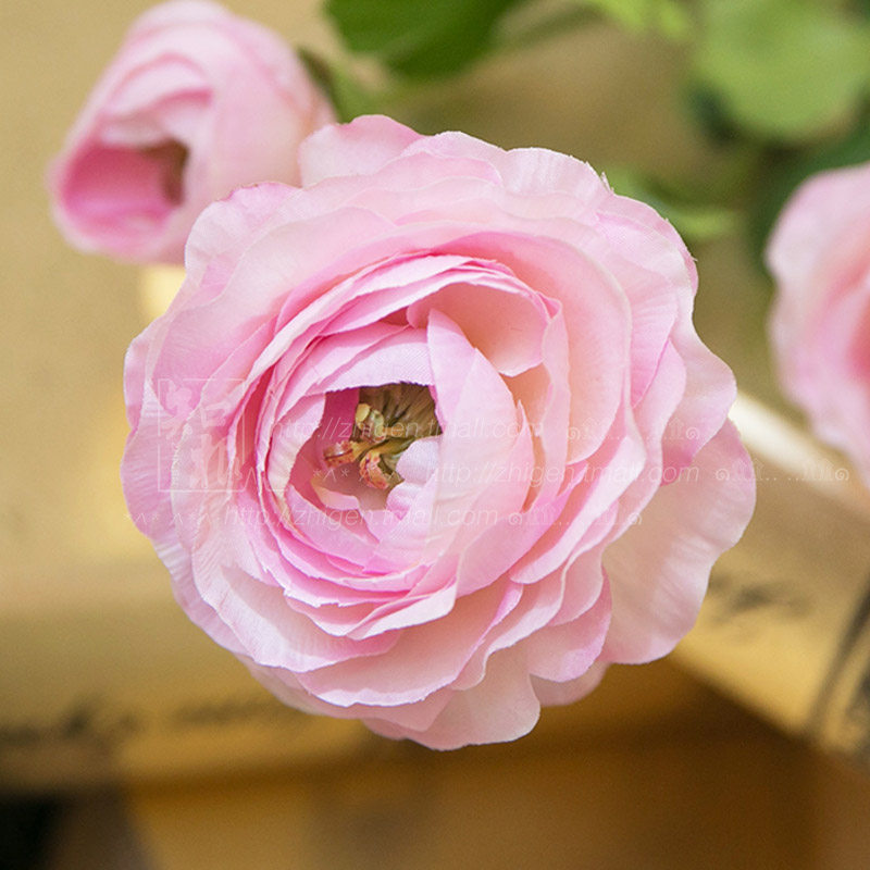 ֪���Ҿ���Ʒ���滨LL-009