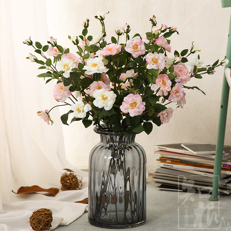 ֪��ŷʽ��ʽ͸��������ƿHP-360