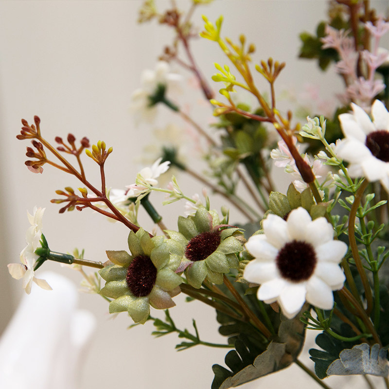 ֪�����滨DBJ-005