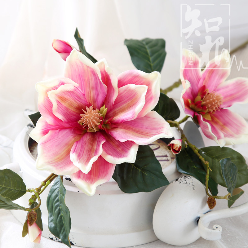 ֪�����滨������YL-005