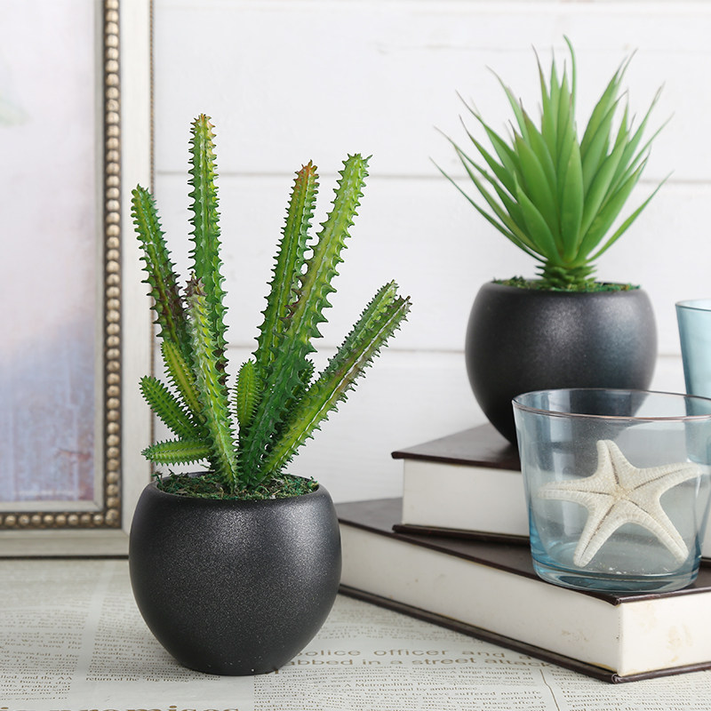 ֪���߷���ֲ���辰TZ-379